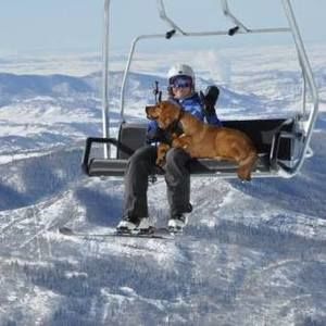 Meet your Posher, Linda